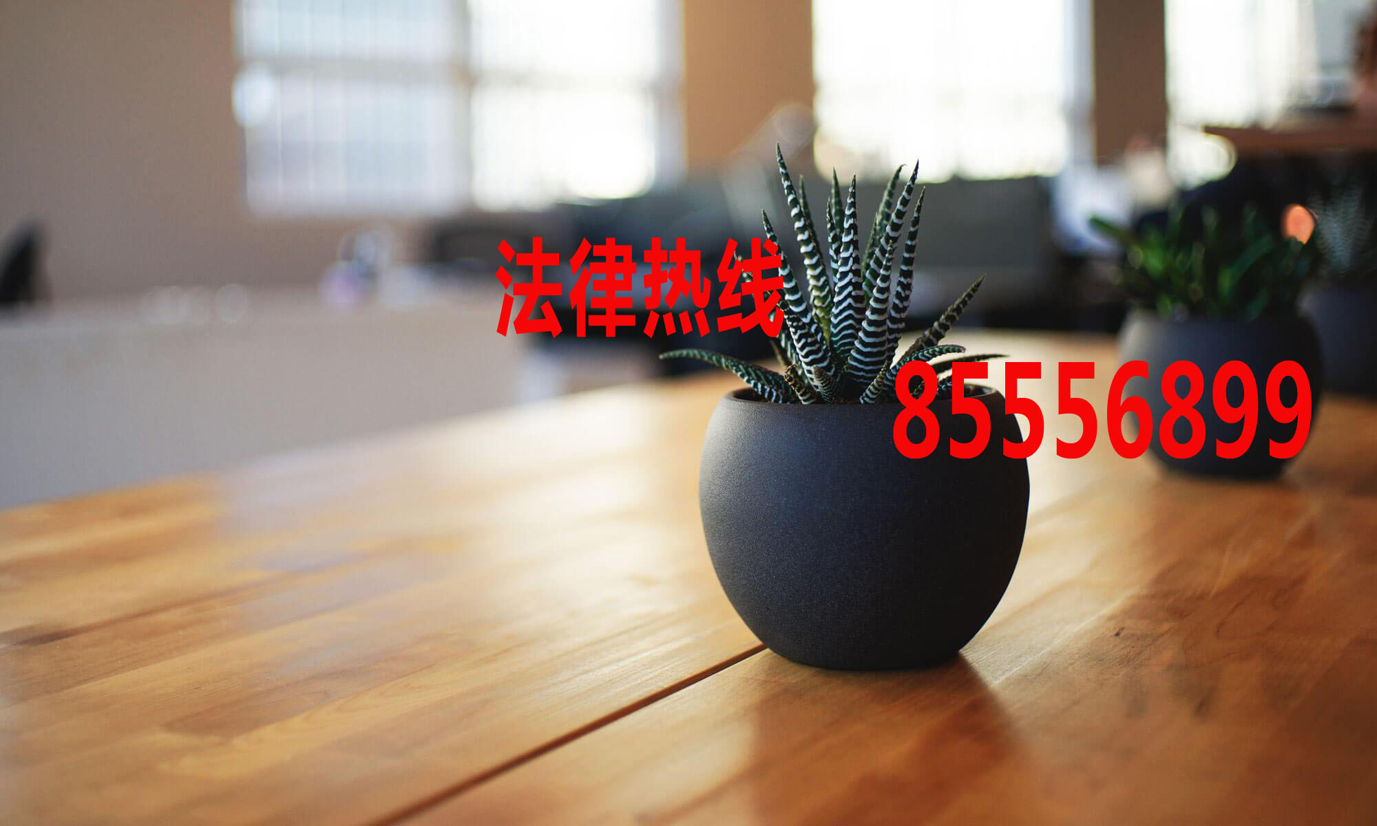 瓯海律师15356291688_温州市瓯海区律师